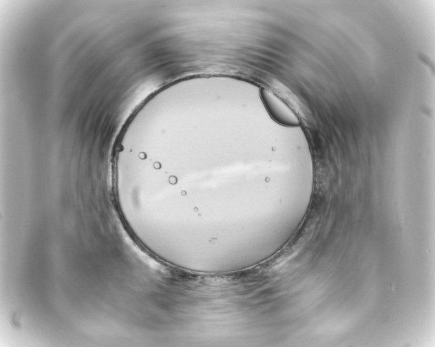 X0000093241095200710241250