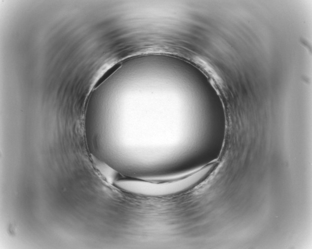 X0000093241097200710241250