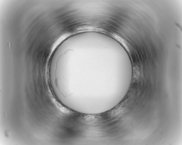 X0000093241098200710241250