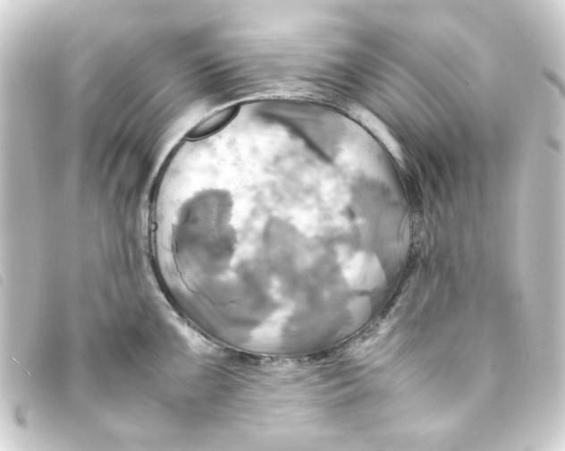 X0000093241099200710241250