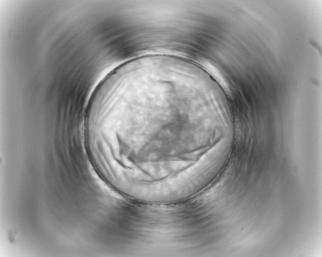 X0000093241100200710241250