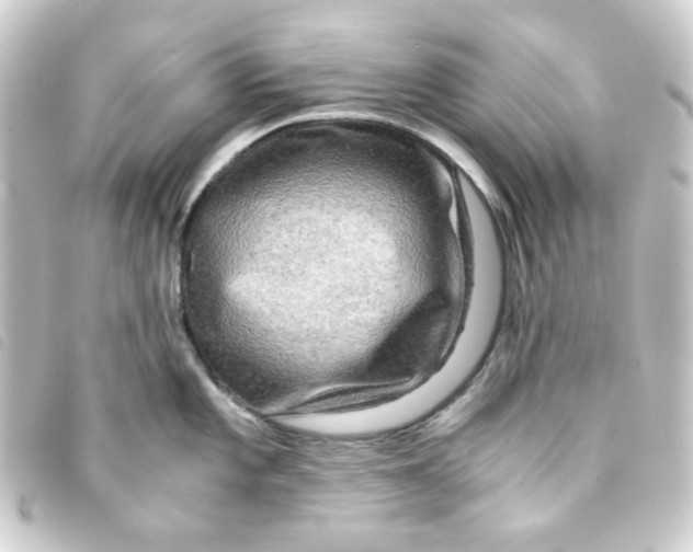 X0000093241101200710241250