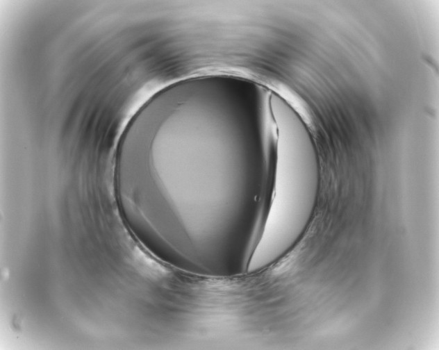 X0000093241102200710241250