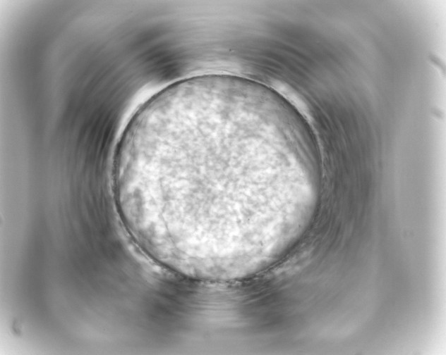 X0000093241104200710241250