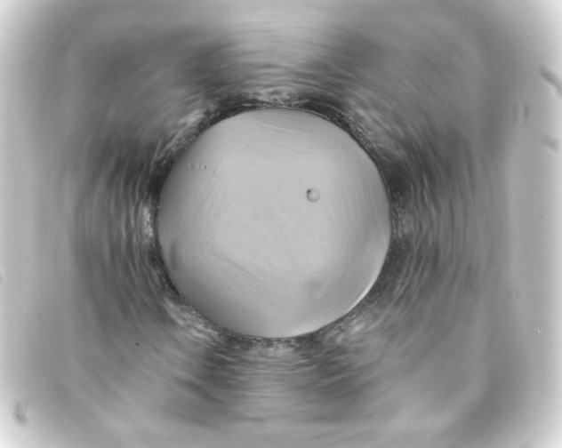 X0000093241106200710241250