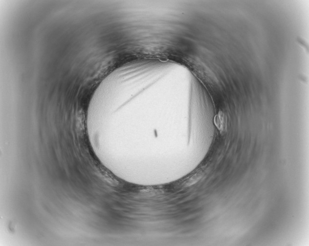 X0000093241107200710241250