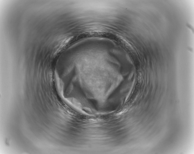 X0000093241108200710241250