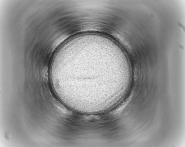 X0000093241113200710241250