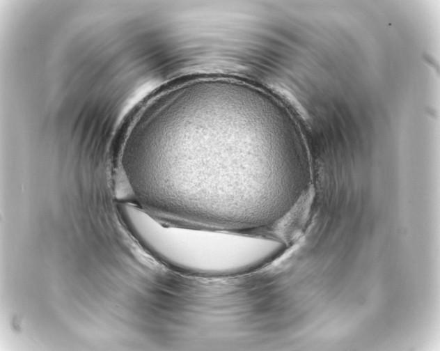 X0000093241114200710241250