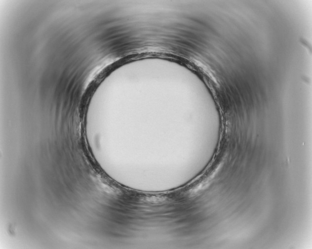 X0000093241117200710241250