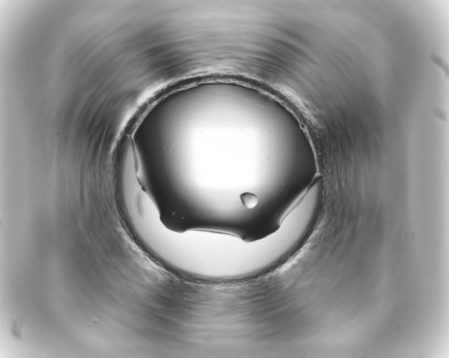 X0000093241118200710241250