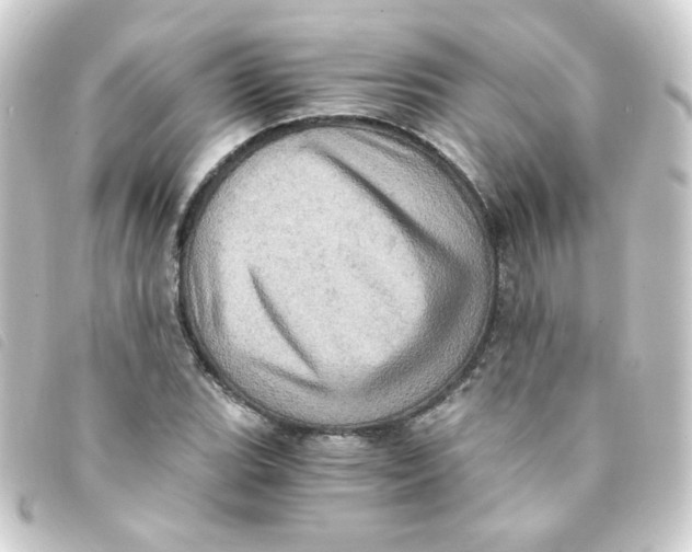 X0000093241119200710241250