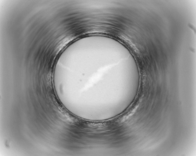 X0000093241121200710241250