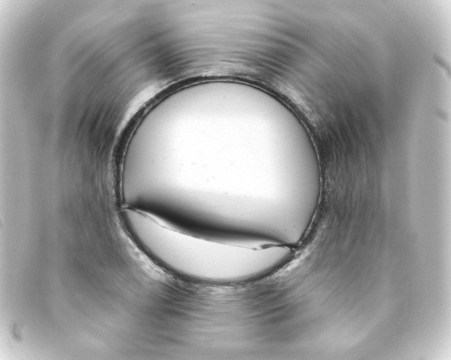 X0000093241122200710241250