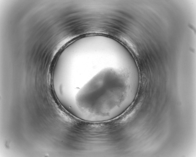 X0000093241125200710241250