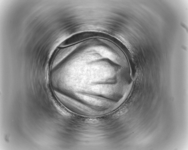 X0000093241128200710241250