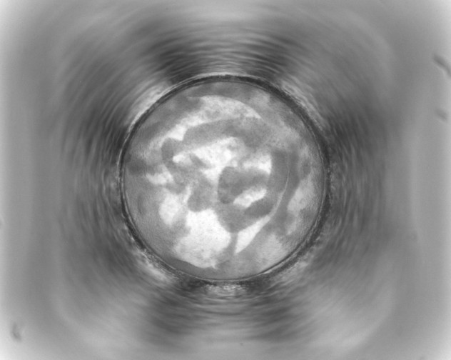 X0000093241129200710241250