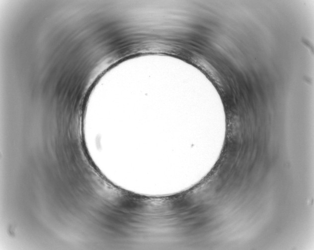 X0000093241130200710241250