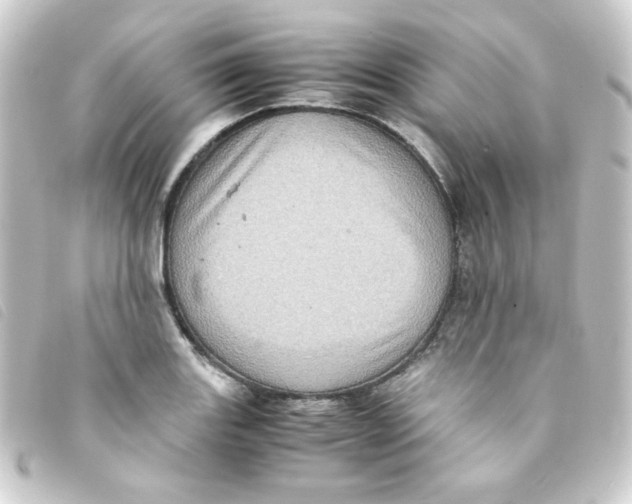 X0000093241131200710241250