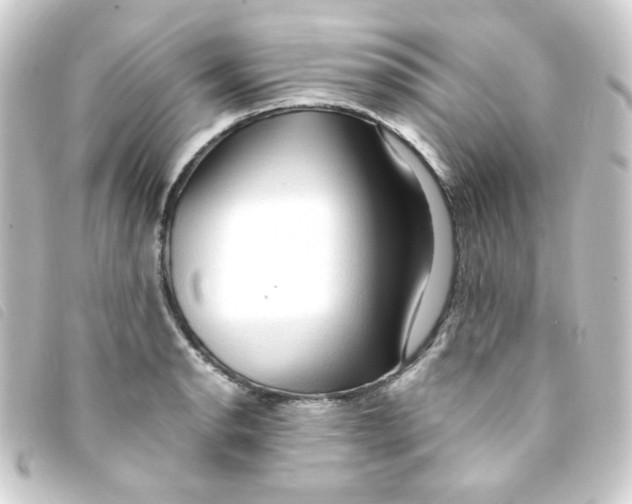 X0000093241134200710241250