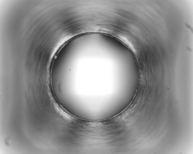 X0000093241136200710241250