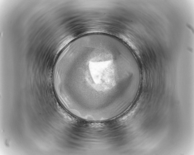 X0000093241137200710241250