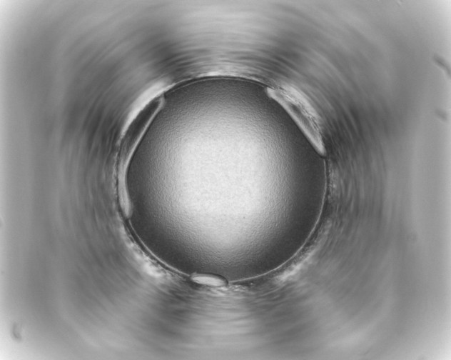 X0000093241138200710241250