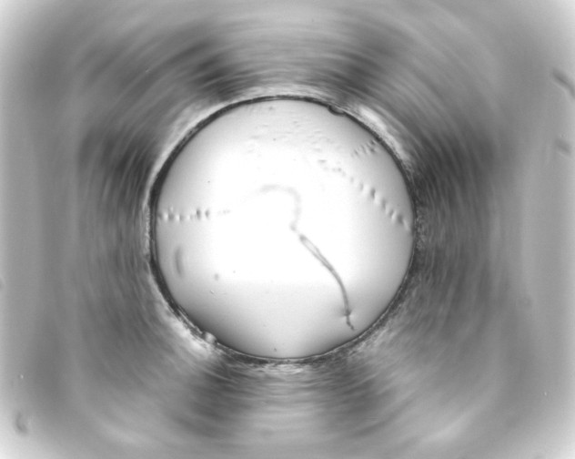 X0000093241140200710241250