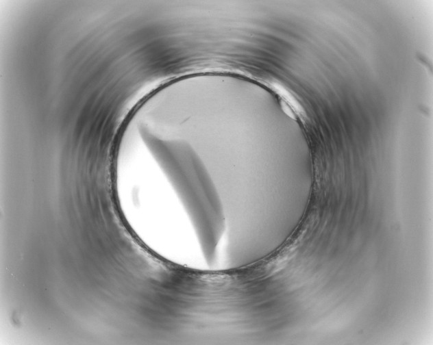 X0000093241142200710241250