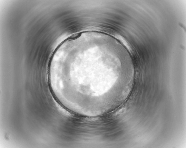 X0000093241143200710241250