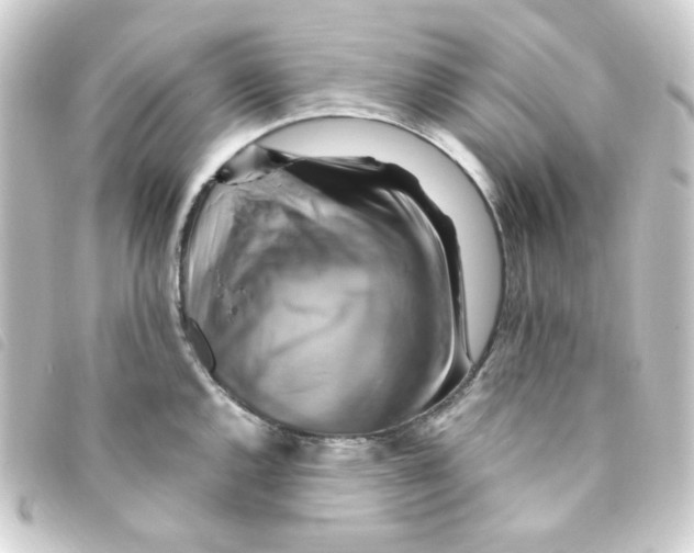 X0000093241144200710241250