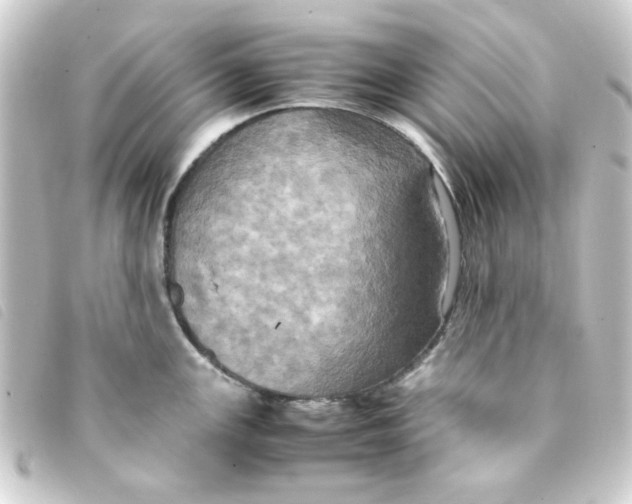 X0000093241147200710241250