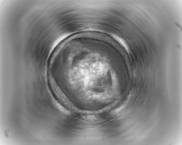 X0000093241149200710241250