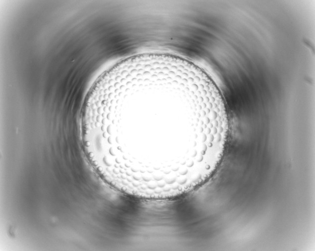 X0000093241150200710241250