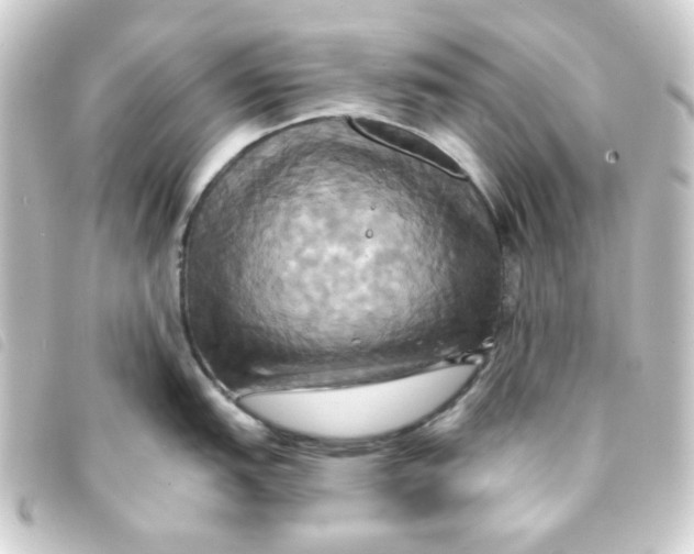 X0000093241151200710241250