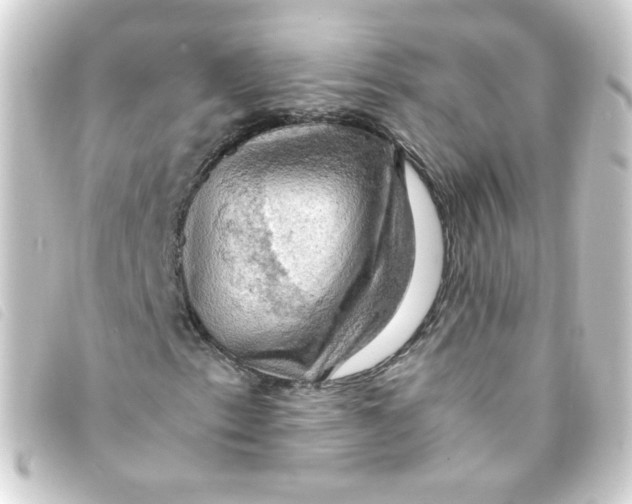 X0000093241153200710241250