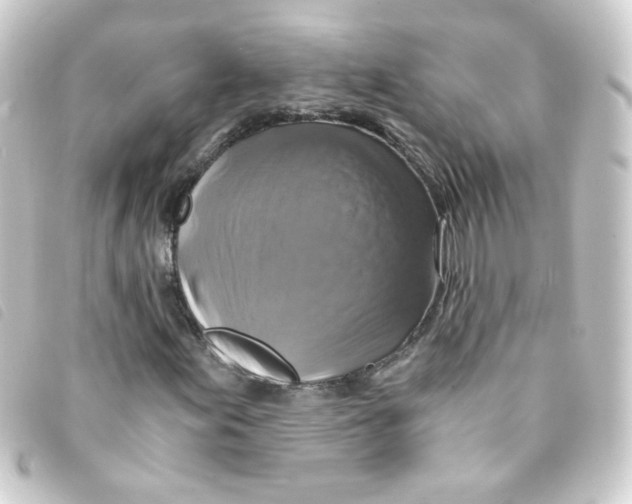 X0000093241155200710241250