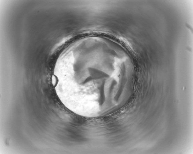 X0000093241159200710241250