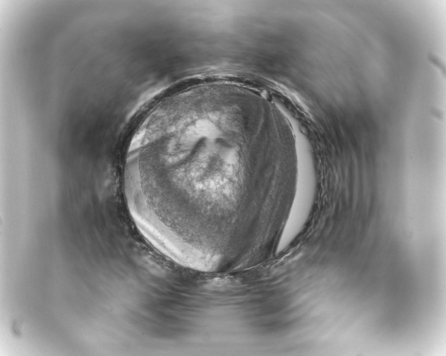 X0000093241160200710241250