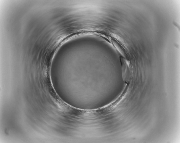 X0000093241161200710241250