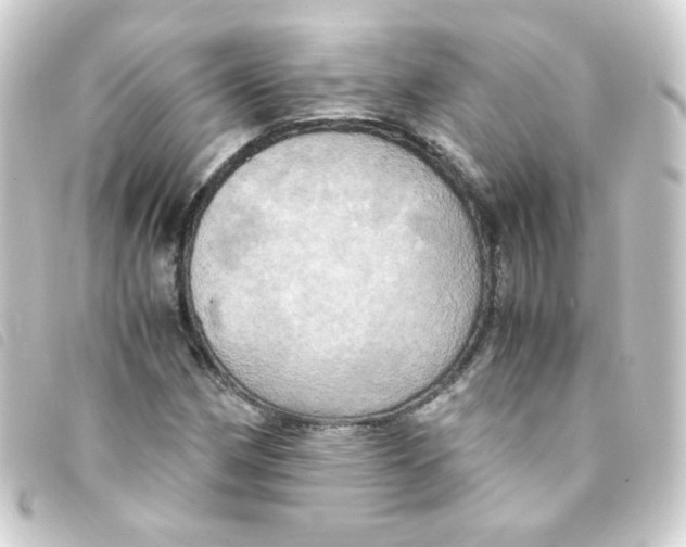 X0000093241162200710241250