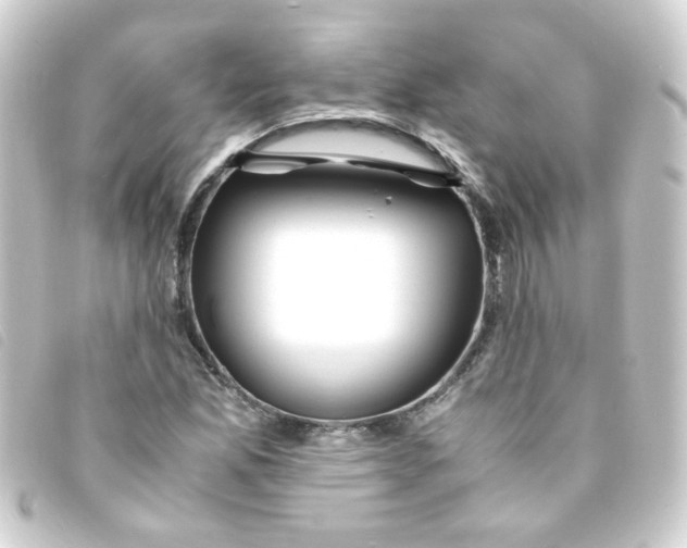 X0000093241165200710241249