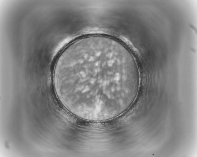 X0000093241167200710241249