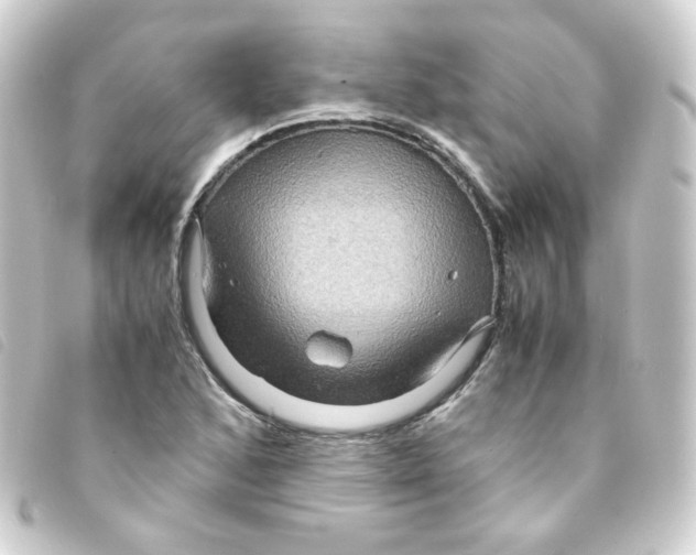 X0000093241168200710241249