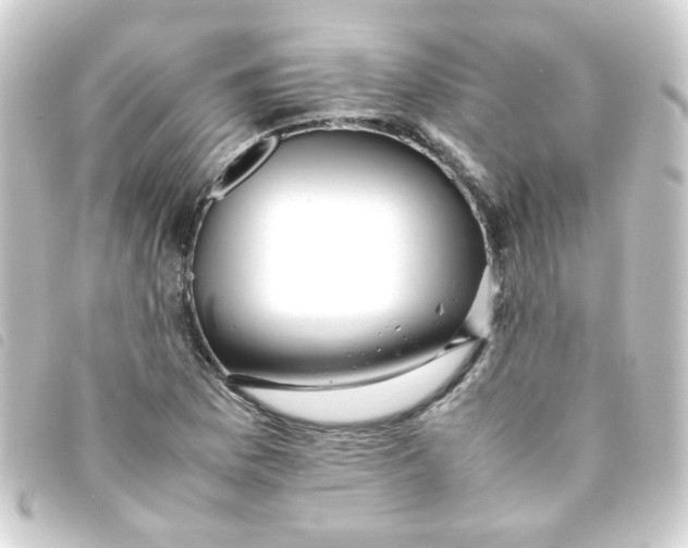 X0000093241169200710241249