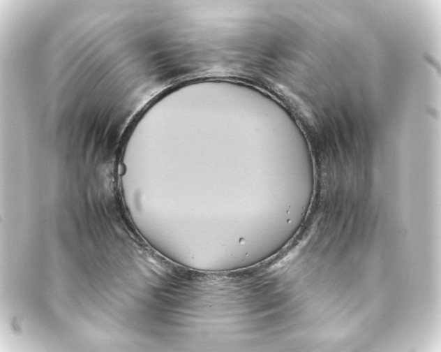 X0000093241170200710241249