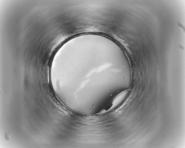 X0000093241171200710241249