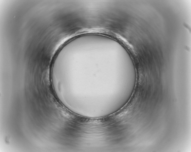 X0000093241174200710241249