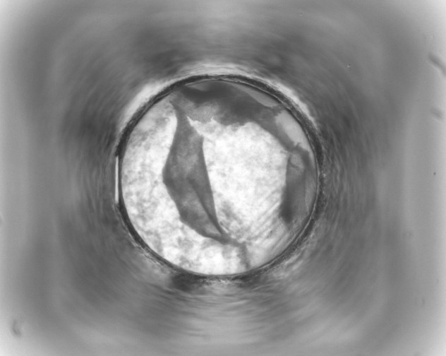 X0000093241175200710241249