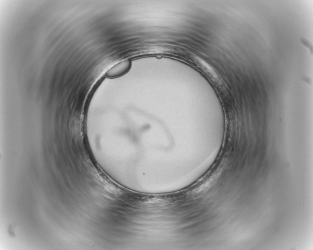 X0000093241178200710241249